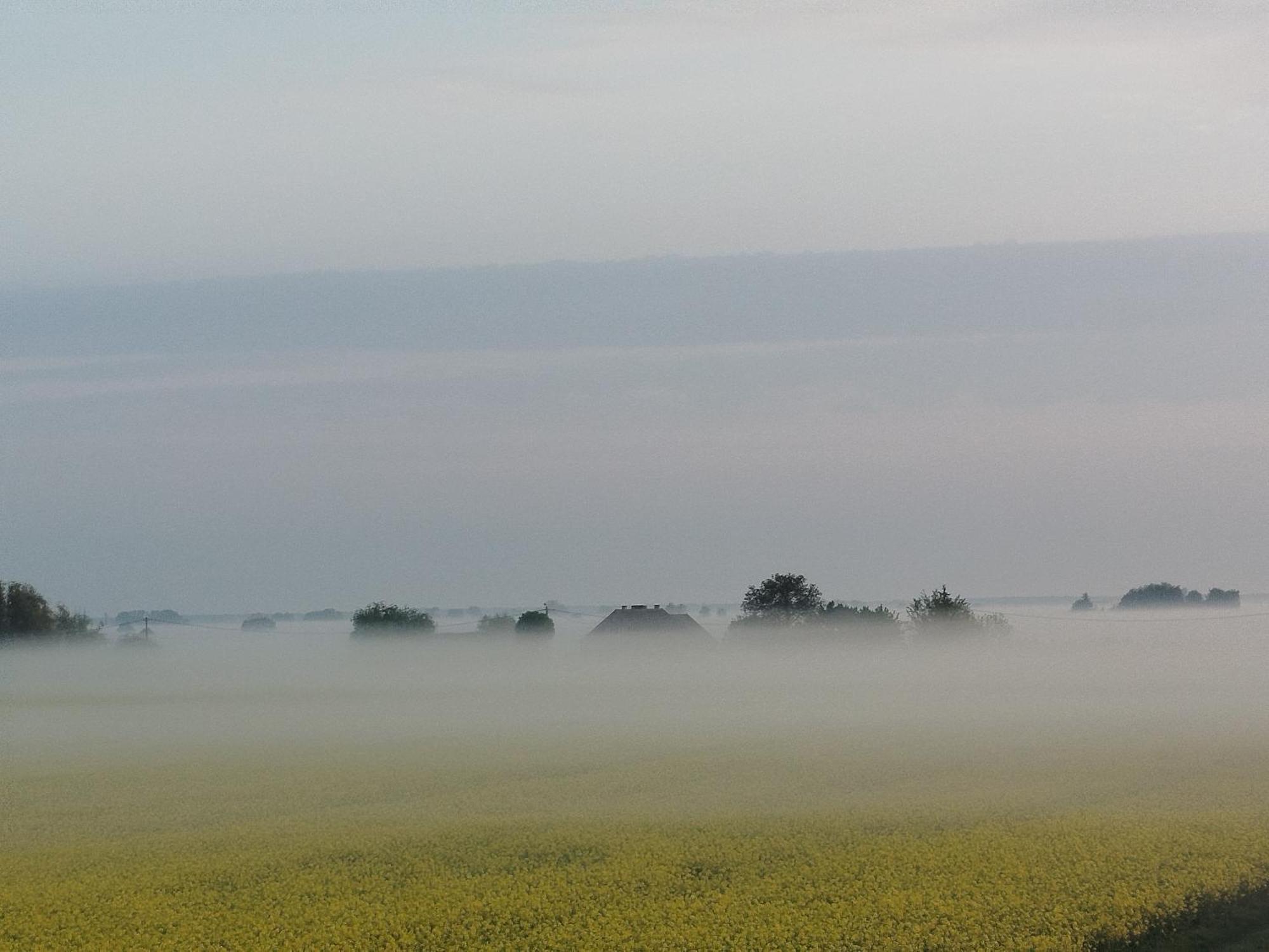 Bed and Breakfast Tropikalna Odnowa Falkowo Экстерьер фото